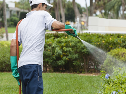 pest control technician spraying shrubs