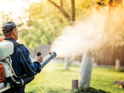 pest control technician spraying a lawn